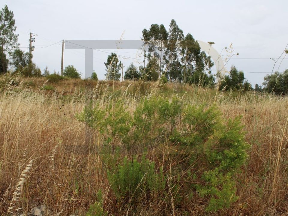 Helårsgrund i Abrantes, Santarem - foto 3