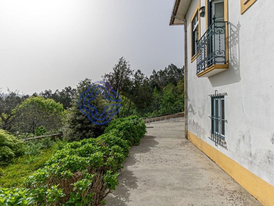 Farm i Oliveira de Azemeis, Aveiro - foto 3