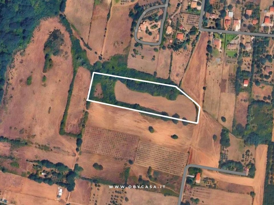 Terreno en Oriolo Romano, Viterbo - foto 1