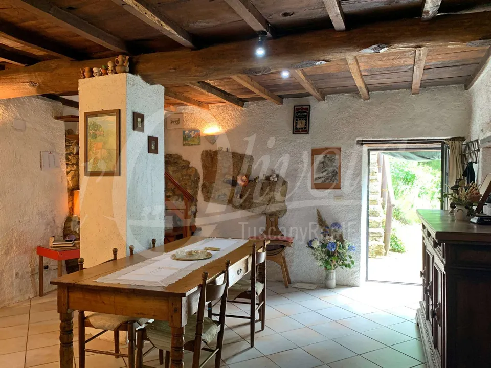 Villa i Fabbriche di Vergemoli, Lucca - foto 1