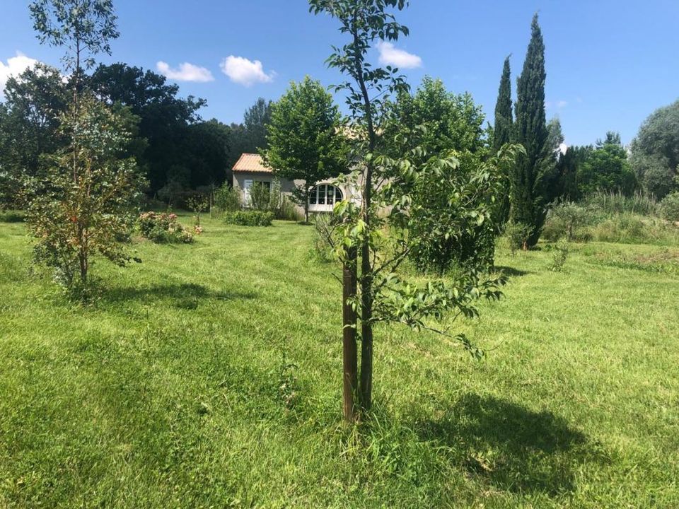 Casa rural em Orgon, Bouches-du-Rhone - foto 5
