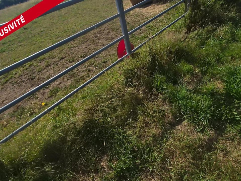 Terra a Sainte-Marguerite-De-Carrouges, Orne - foto 2