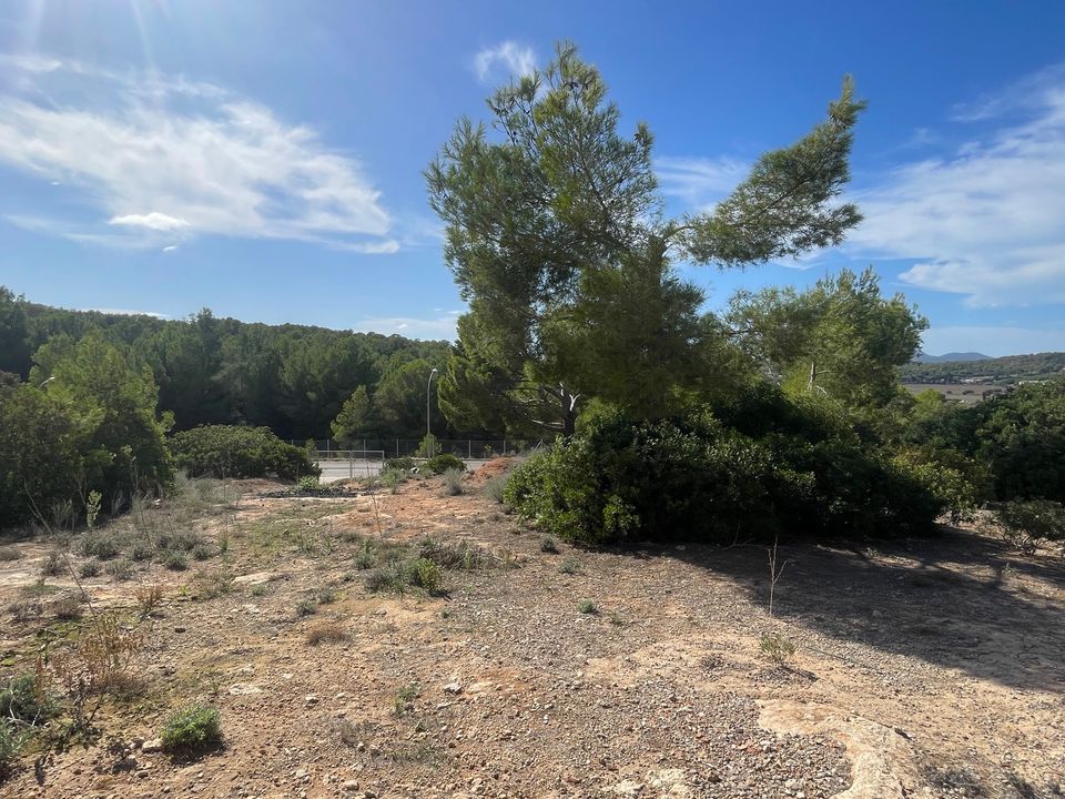 Helårsgrund i Cala Vinyes, Mallorca - foto 1