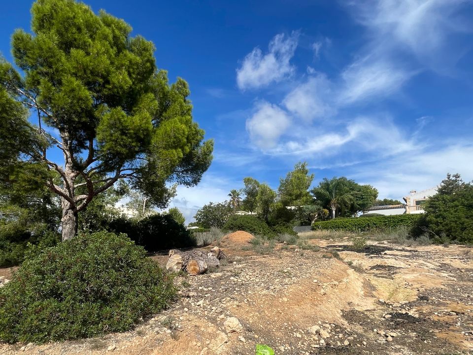 Helårsgrund i Cala Vinyes, Mallorca - foto 3