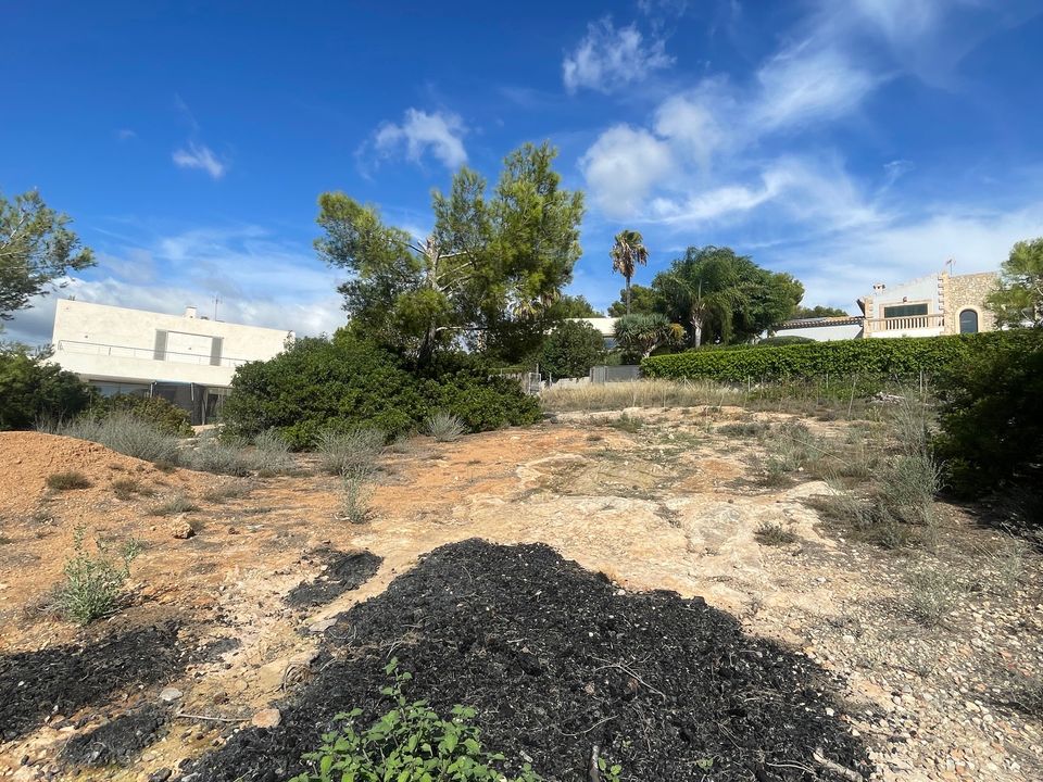 Helårsgrund i Cala Vinyes, Mallorca - foto 4