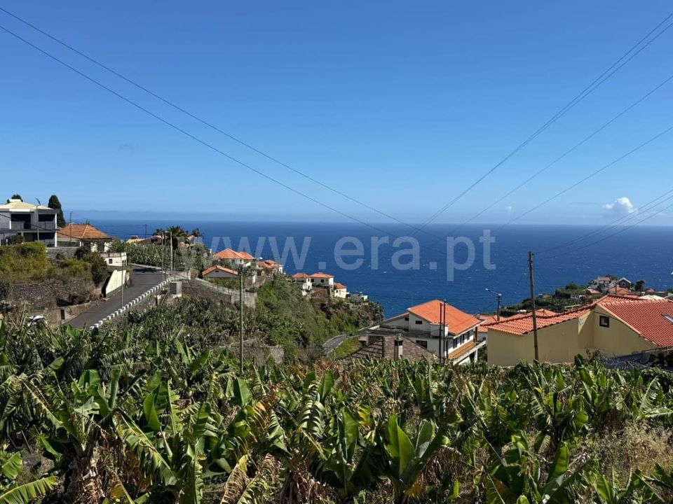 Terra em Ponta do Sol, Madeira - foto 4