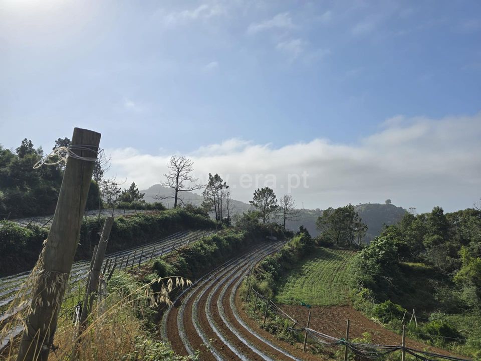 Helårsgrund i Santana, Madeira - foto 2