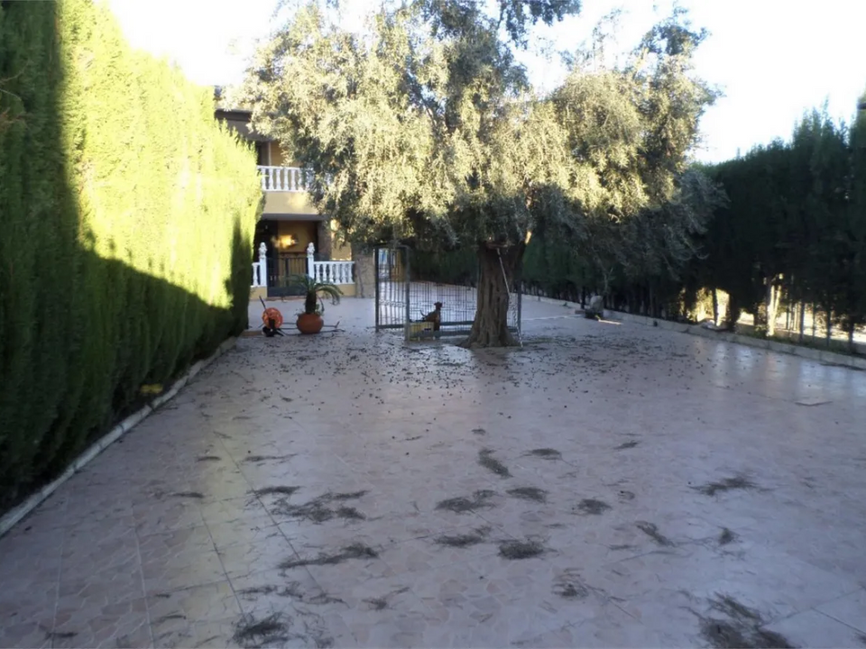 Villa i Orihuela, Alicante - foto 5