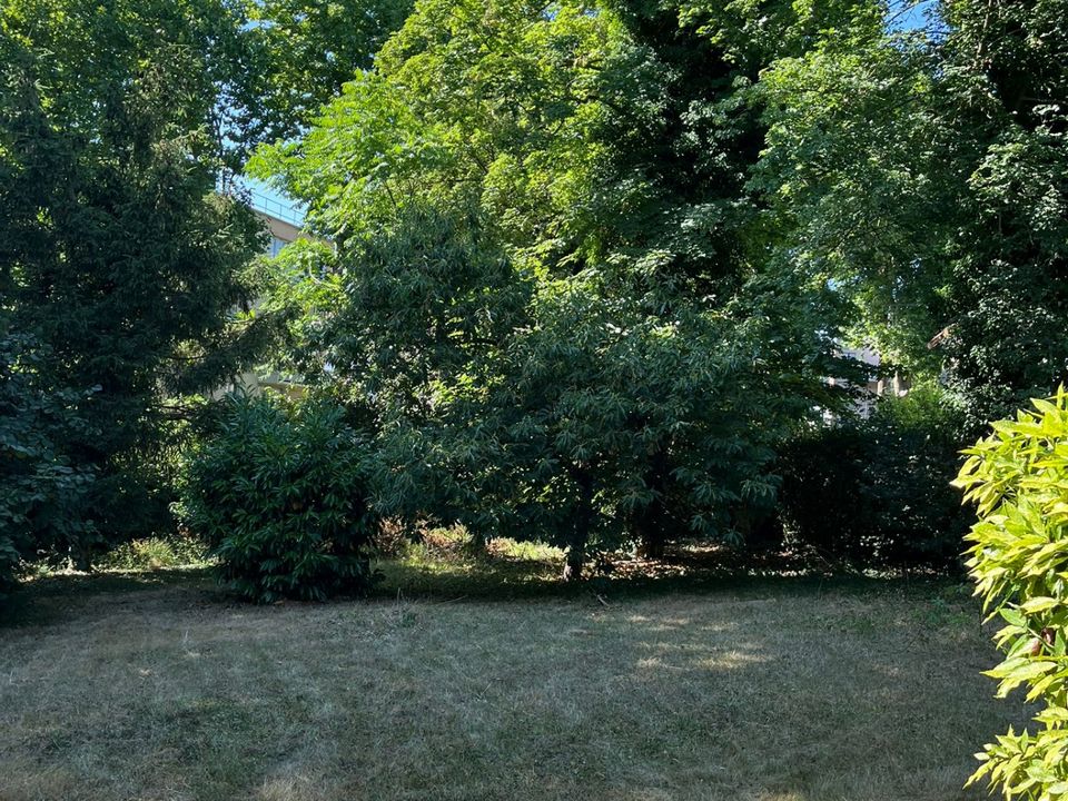 Helårsgrund i Draveil, Essonne - foto 4