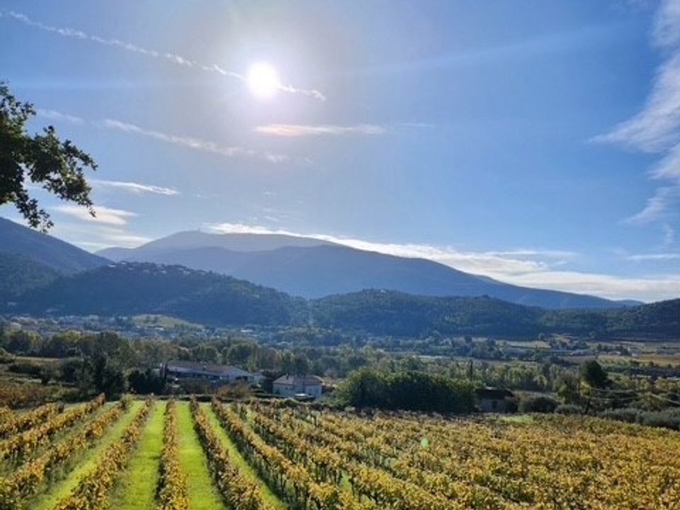 Villa a Mollans-sur-Ouvèze, Drome - foto 4