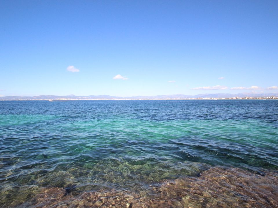 Lejlighed i Son Veri, Mallorca - foto 3