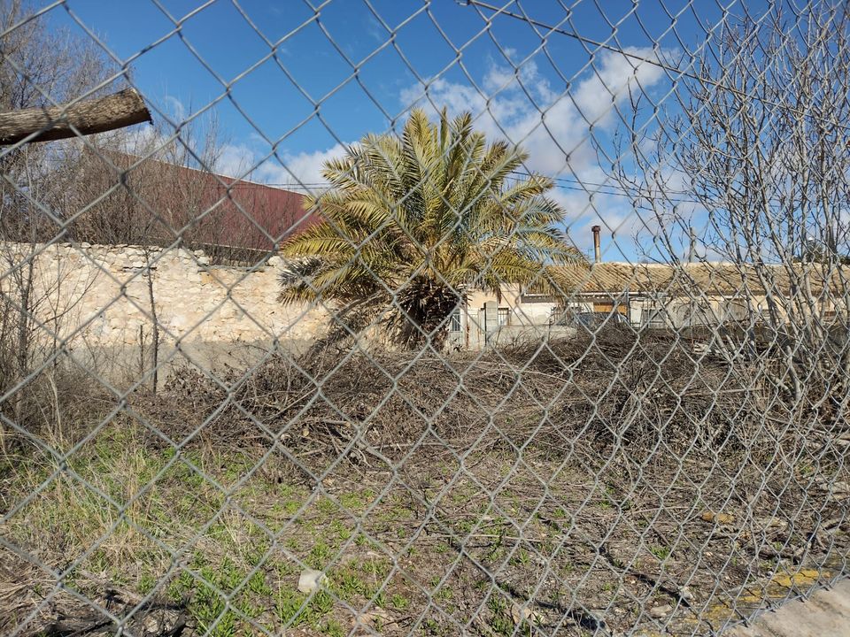 Terra a Pinoso, Alicante - foto 1