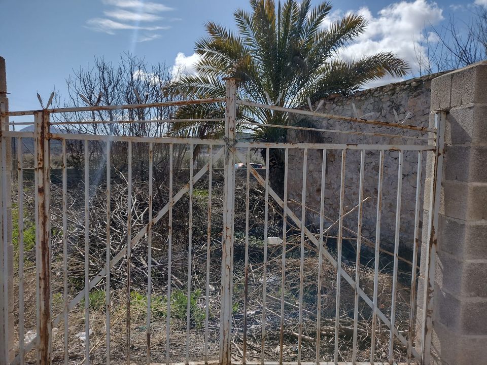 Terra a Pinoso, Alicante - foto 2