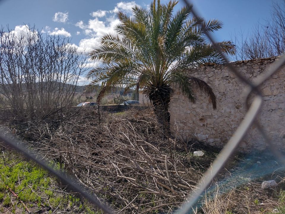 Terra a Pinoso, Alicante - foto 3