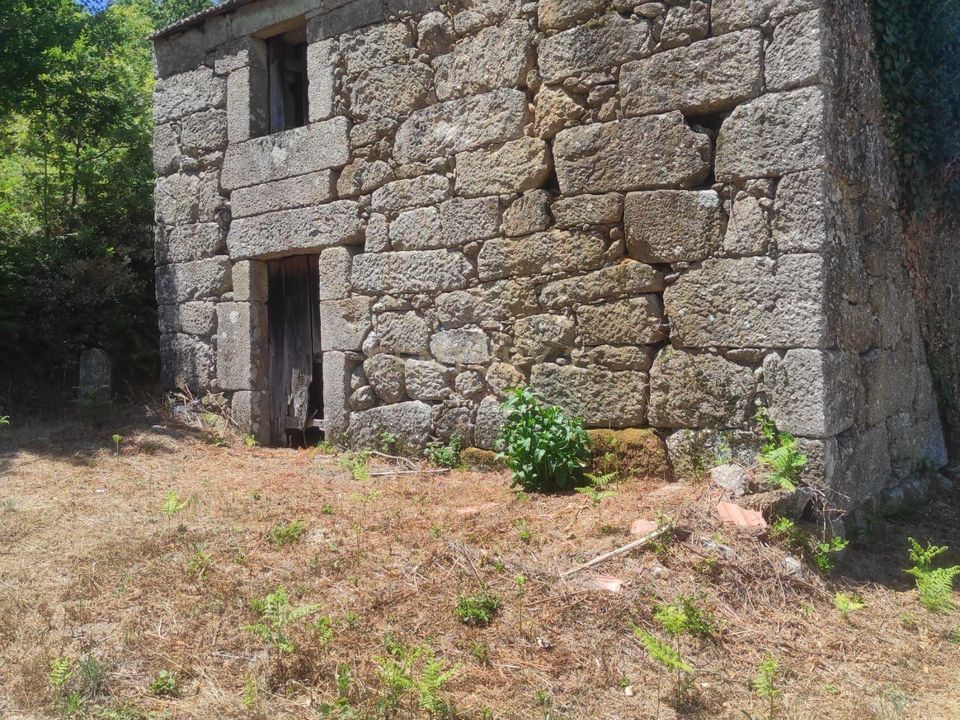 Terreno en Abraveses, Viseu - foto 4