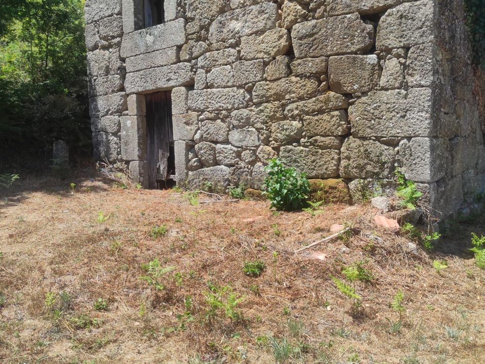 Terreno en Abraveses, Viseu - foto 5