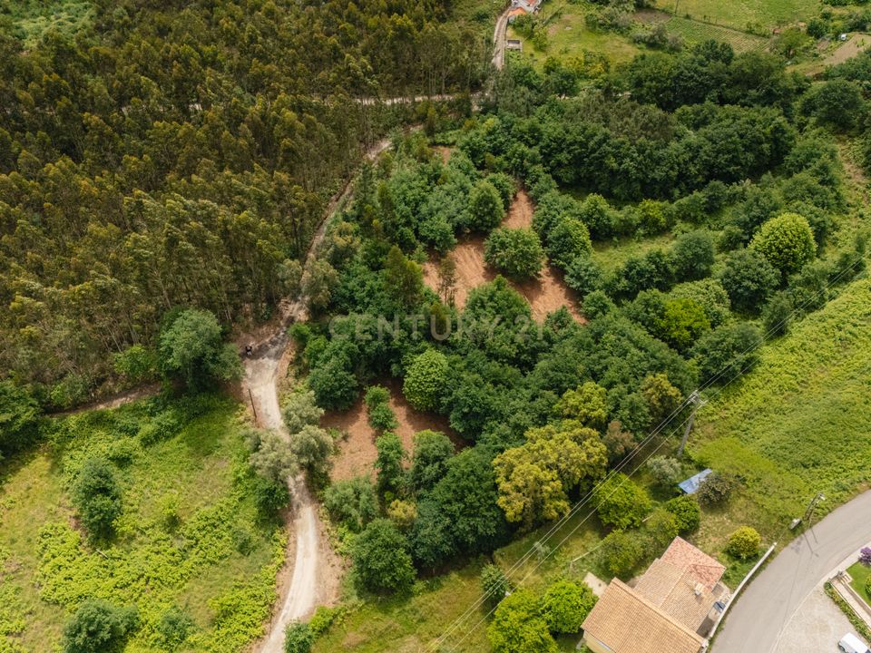 Helårsgrund i Oliveira de Frades, Viseu - foto 2