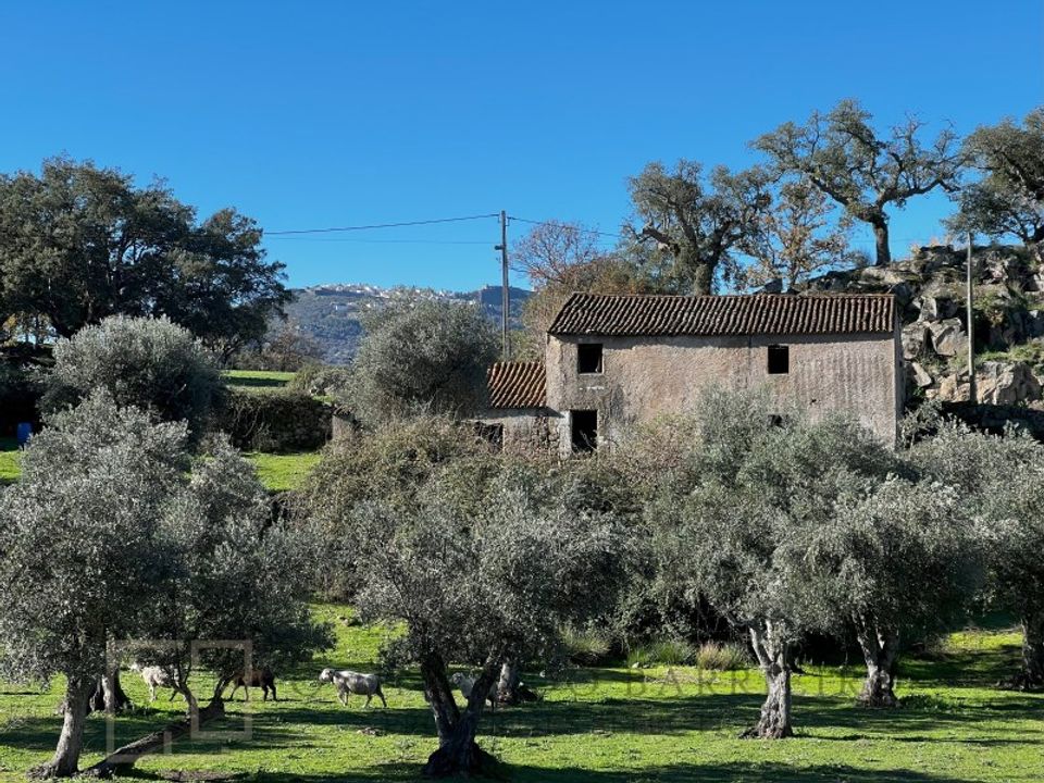 Granja a Castelo de Vide, Portalegre - foto 1