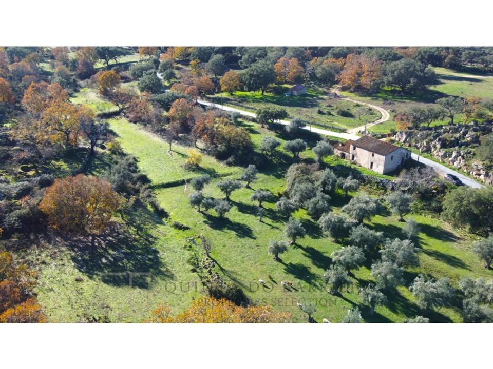 Granja a Castelo de Vide, Portalegre - foto 3