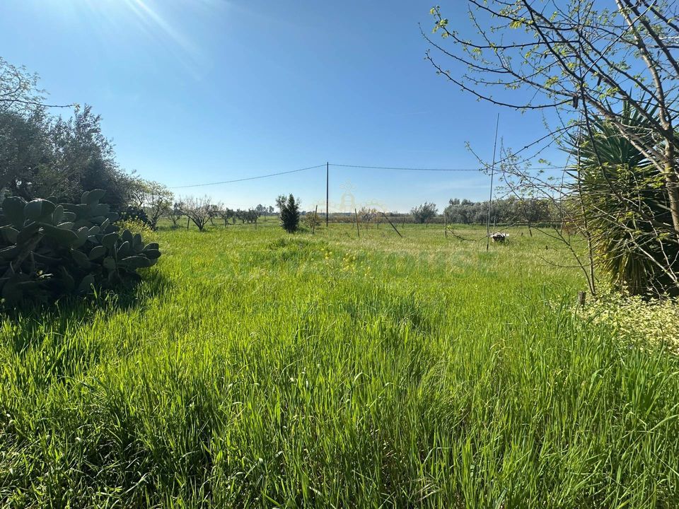 Helårsgrund i Capua, Caserta - foto 2