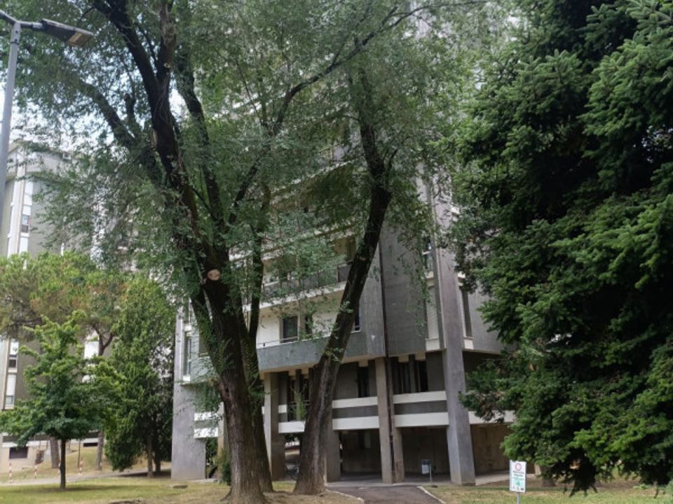 Lejlighed i Padua, Padua - foto 1