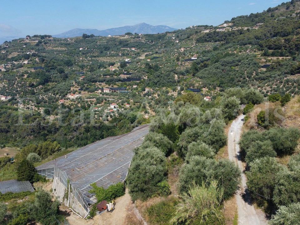 Terra em Seborga, Imperia - foto 3