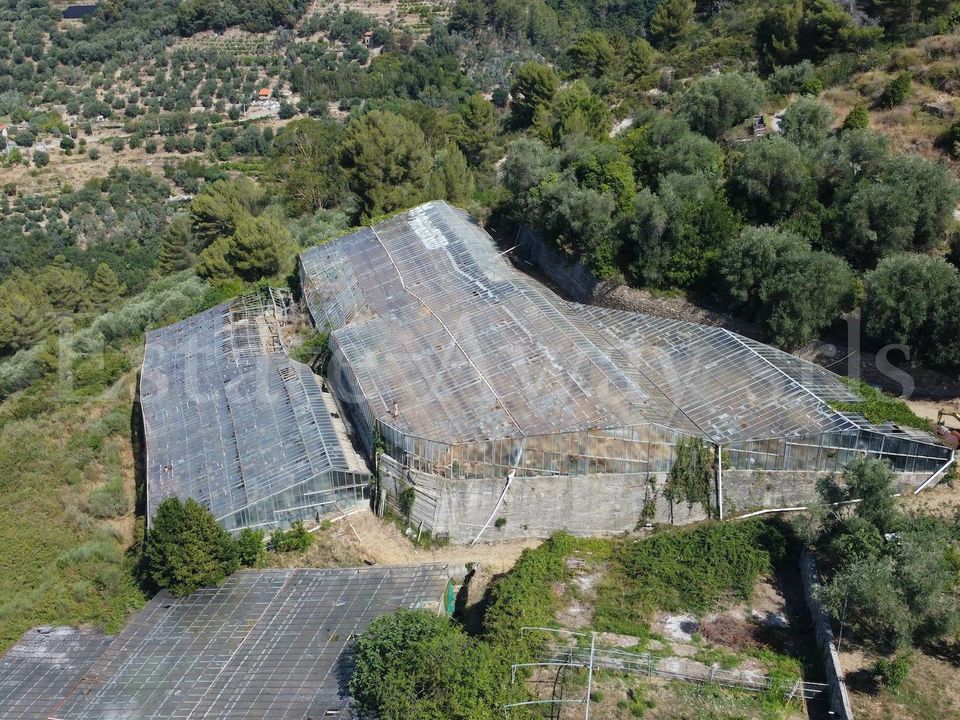 Terra em Seborga, Imperia - foto 4