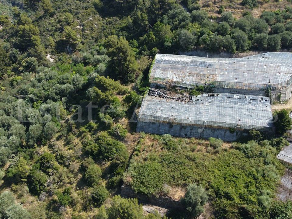 Terra em Seborga, Imperia - foto 5