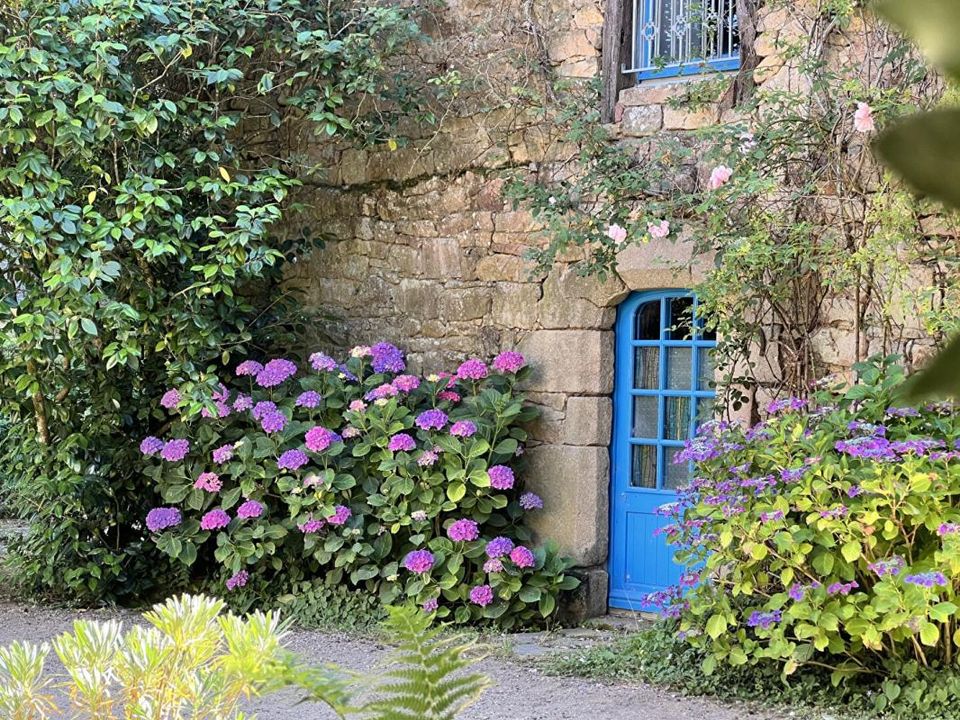 L'establiment comercial a Locoal-Mendon, Morbihan - foto 3