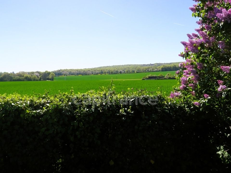 Villa en Ruan-sur-Egvonne, Loir-et-Cher - foto 1