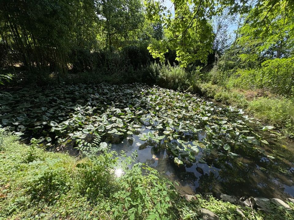 Villa i Connerré, Sarthe - foto 5