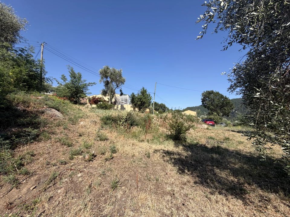 Terra em Coaraze, Alpes-Maritimes - foto 3