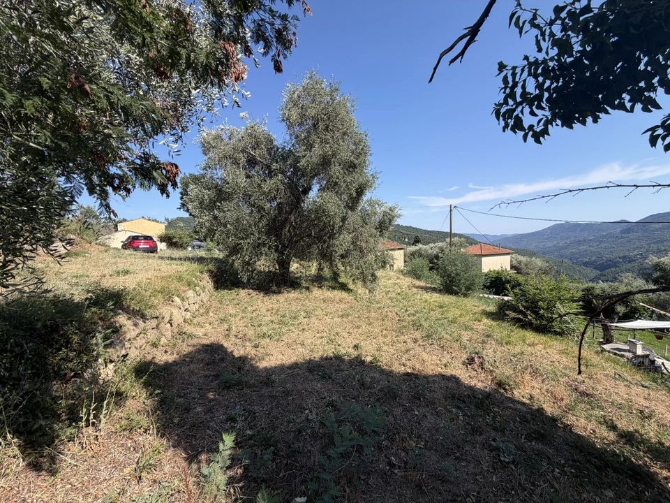 Terra em Coaraze, Alpes-Maritimes - foto 4