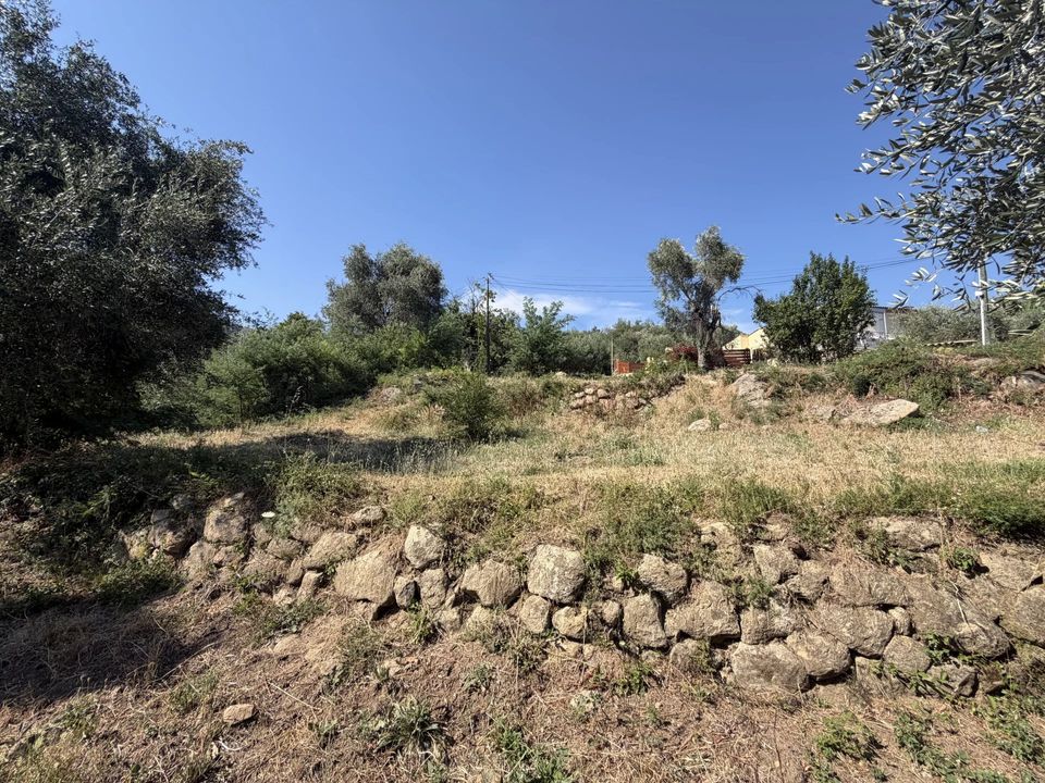 Terra em Coaraze, Alpes-Maritimes - foto 5