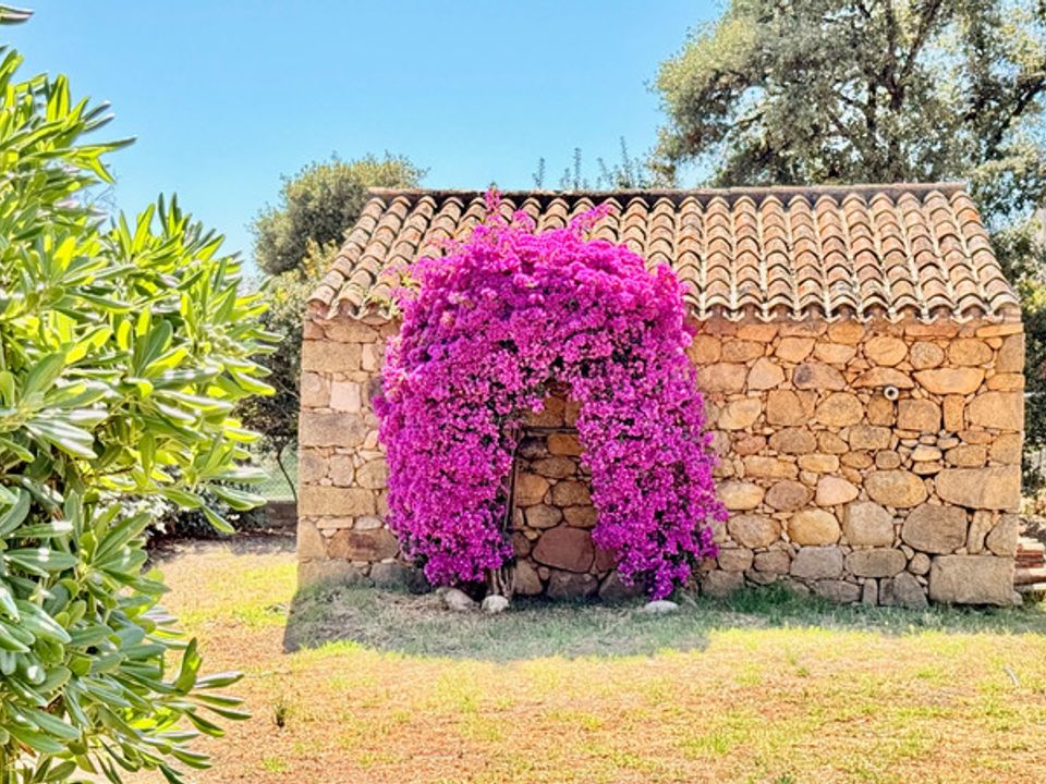 Villa i Eccica-Suarella, Corse-du-Sud - bilde 1