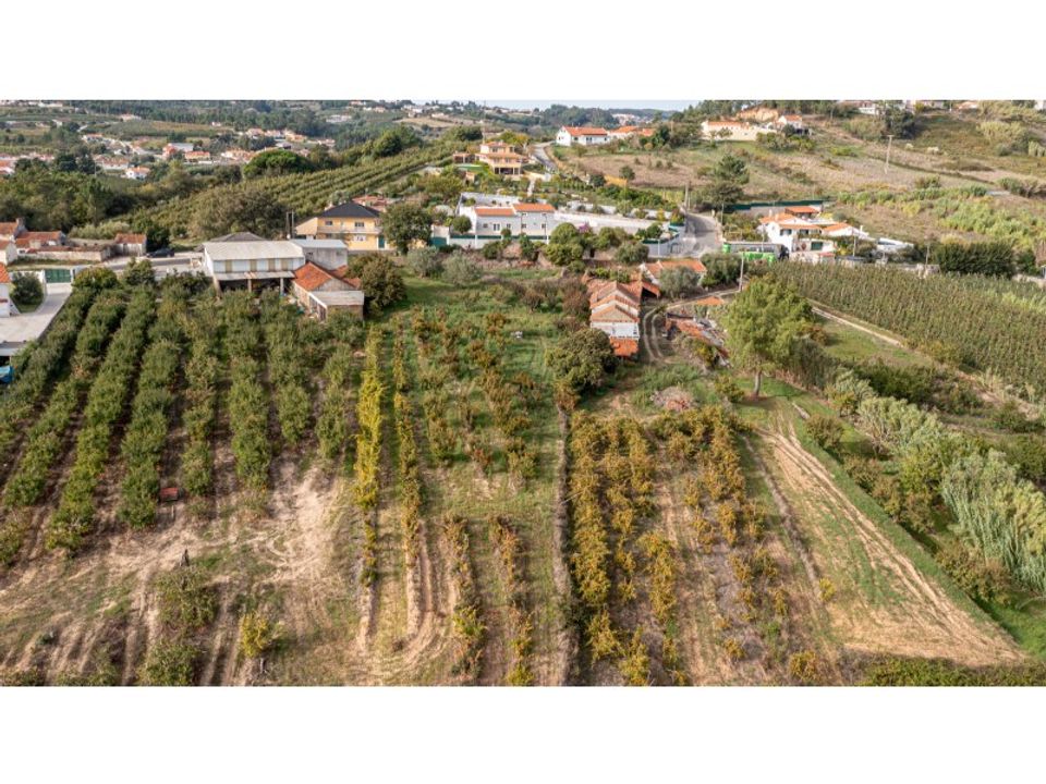 Helårsgrund i Alcobaca, Leiria - foto 1