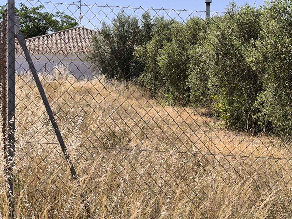 Terra a Caudete, Albacete - foto 1