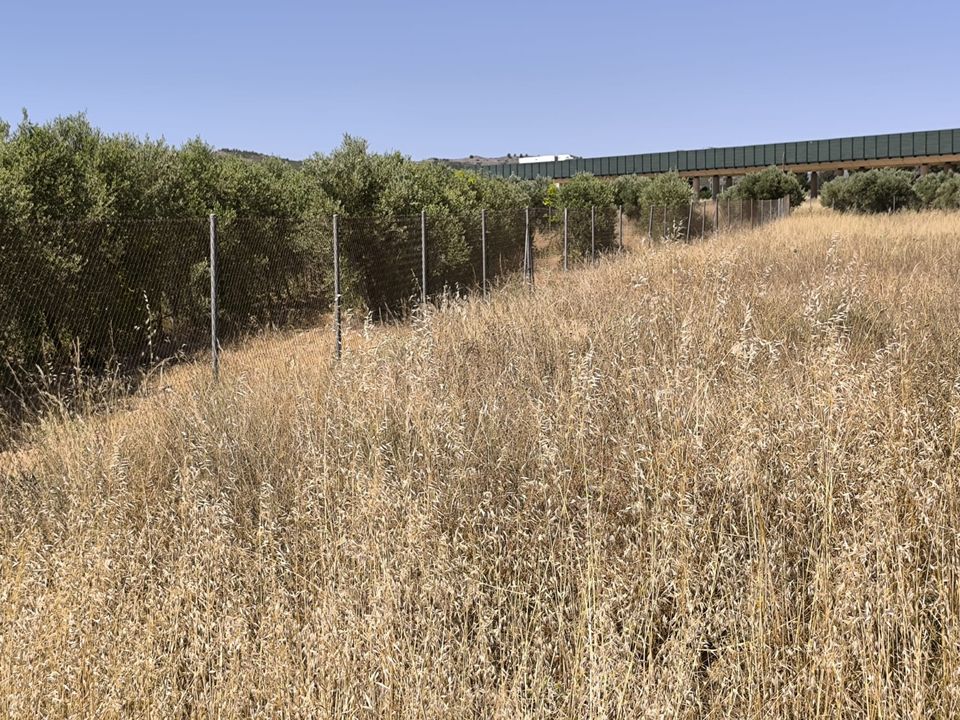 Terra a Caudete, Albacete - foto 2