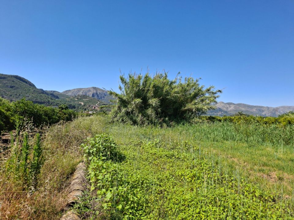 Helårsgrund i Pego, Alicante - foto 5