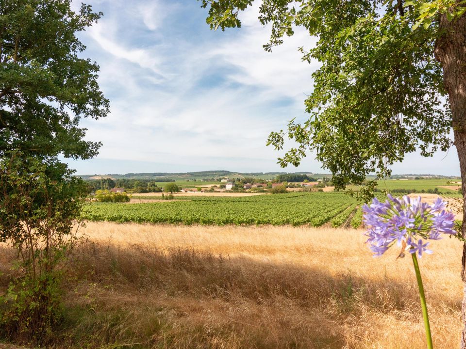 Villa i Saint-Même-les-Carrières, Charente - foto 5