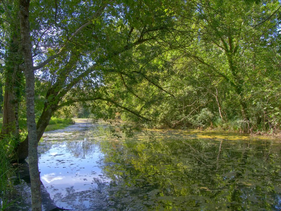 Villa a Taize-Aizie, Charente - foto 2