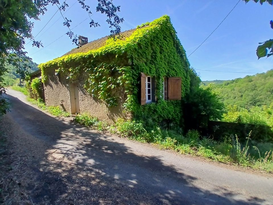 Villa i Saint-Andre-de-Najac, Aveyron - bilde 1