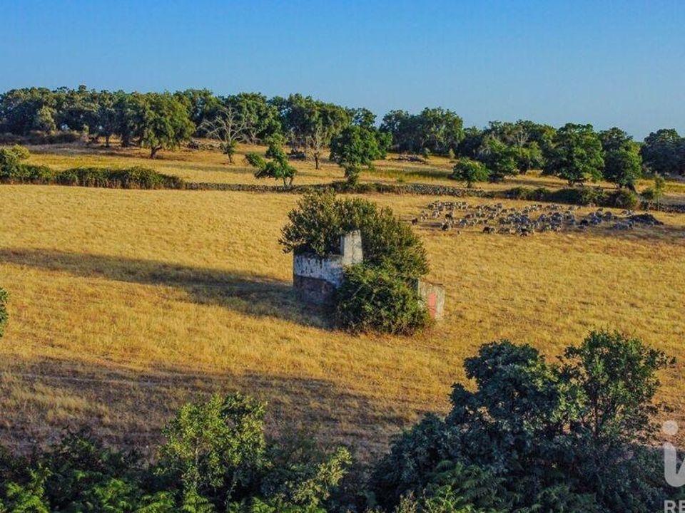 Granja a Castelo de Vide, Portalegre - foto 5