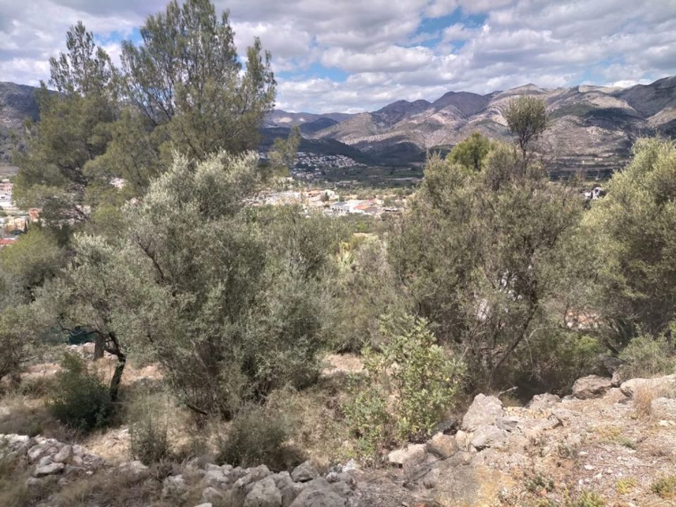 Helårsgrund i Orba, Alicante - foto 2