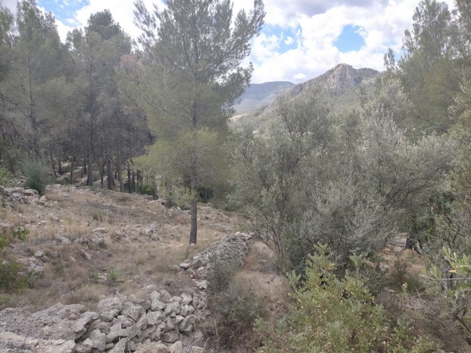 Helårsgrund i Orba, Alicante - foto 3