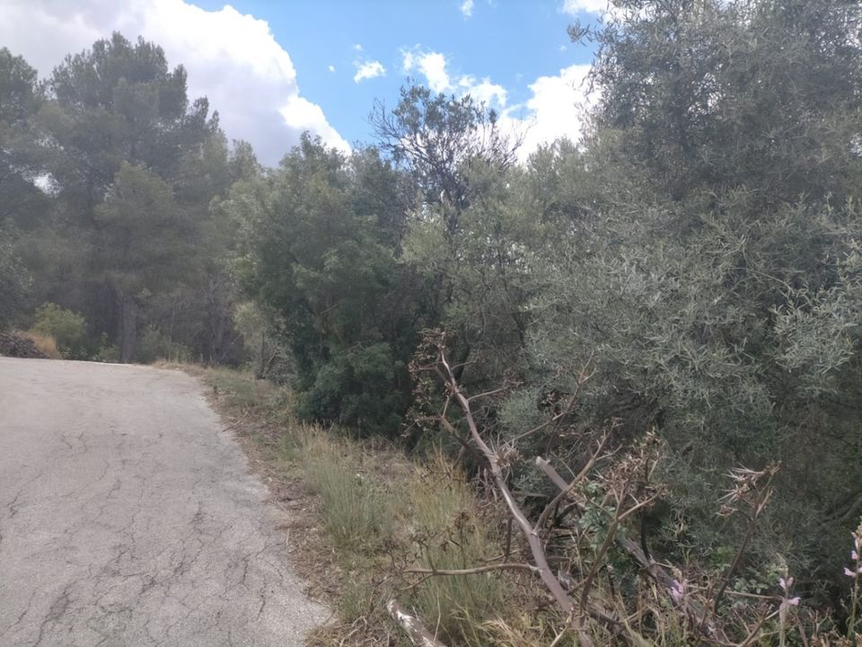 Helårsgrund i Orba, Alicante - foto 5