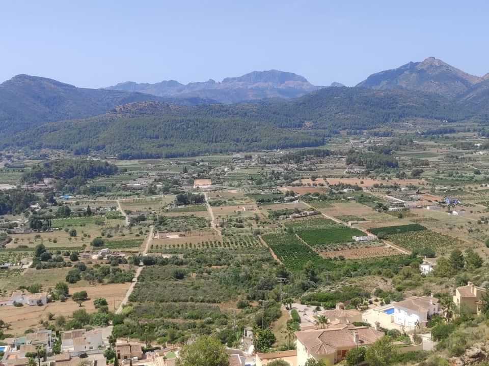 Grond in Jalon, Alicante - foto 5