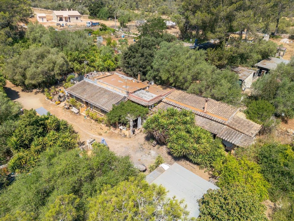 Landejendom i Algaida, Mallorca - foto 3