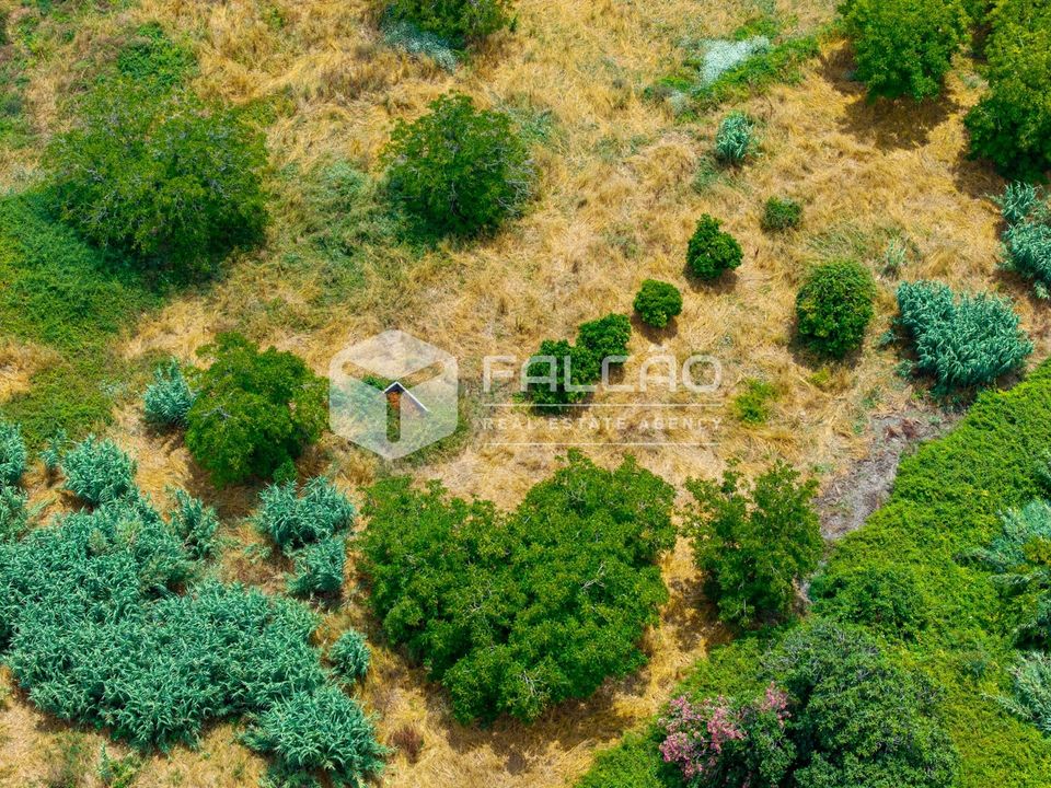 Villa a Rio Maior, Santarem - foto 4