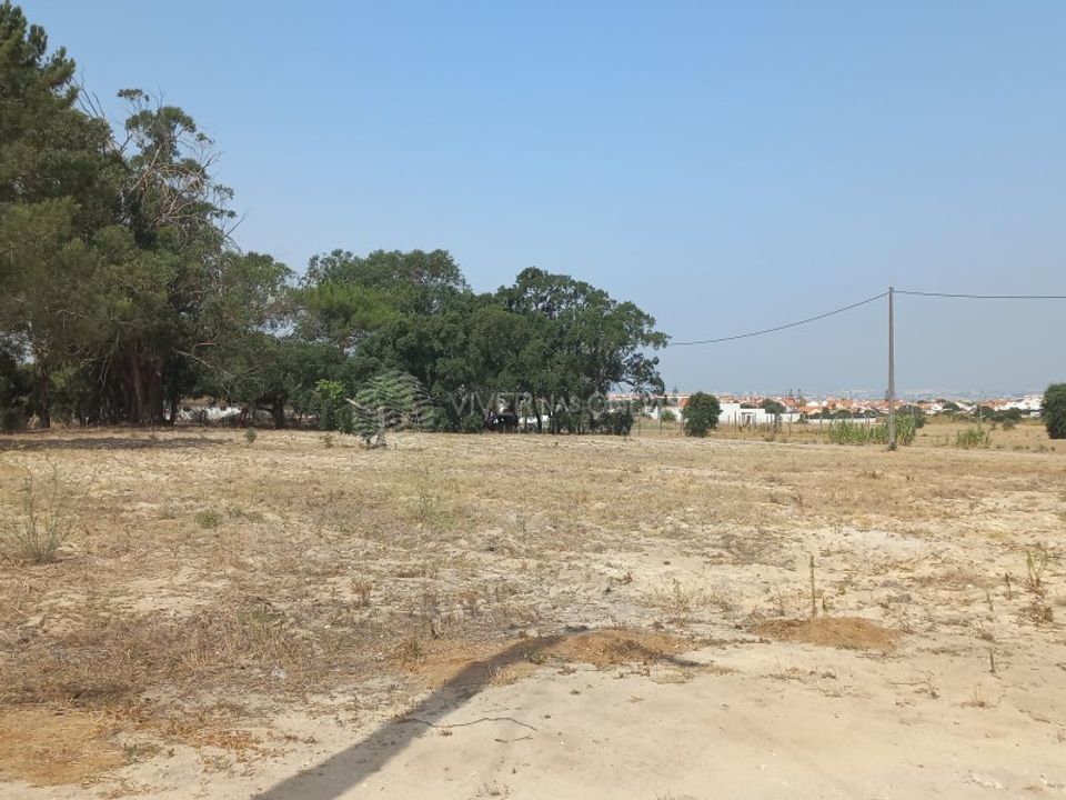 Tomt i Montijo, Setubal - bilde 2